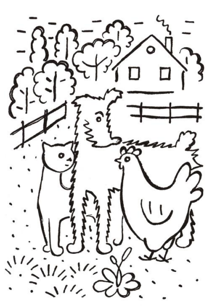 Jak si pejsek roztrhl kaťatav 4